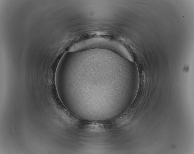 X0000090890760200707271332