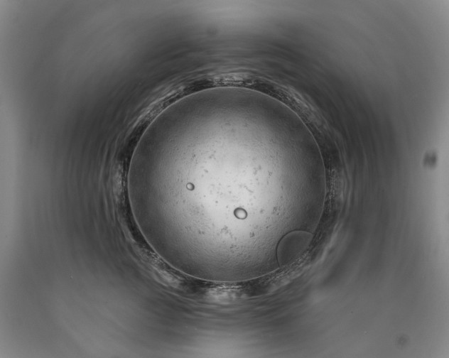 X0000090890761200707271332