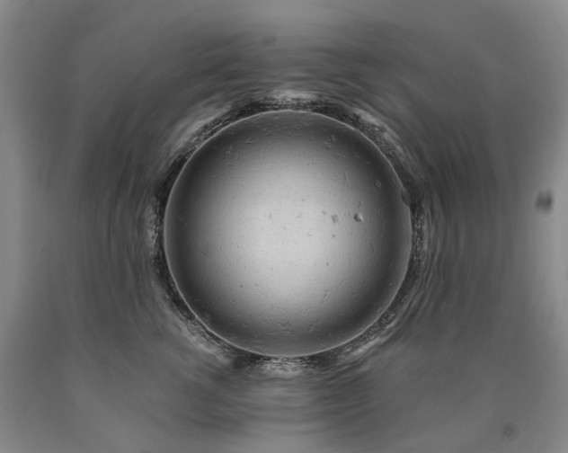 X0000090890762200707271332