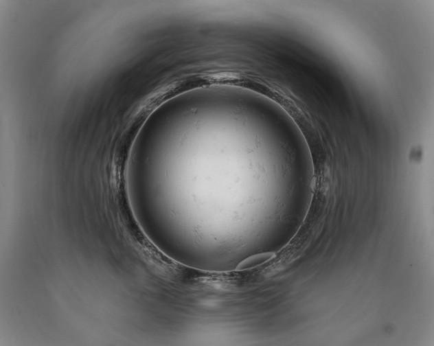 X0000090890763200707271332