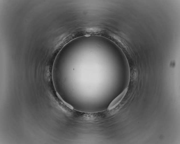 X0000090890764200707271332