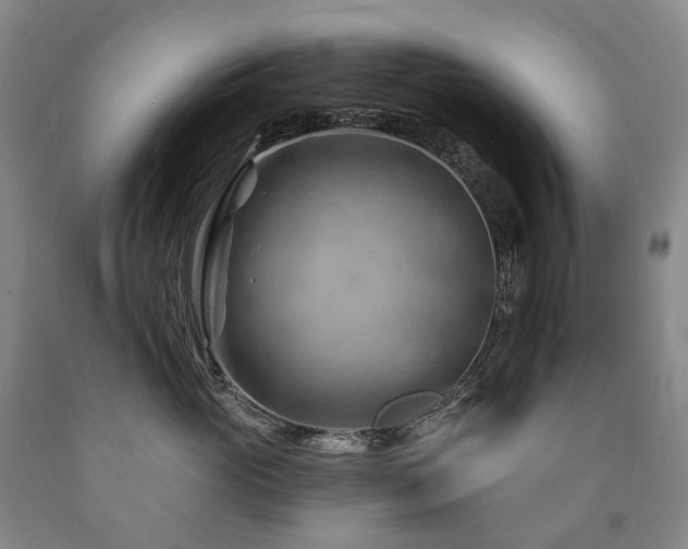 X0000090890765200707271332