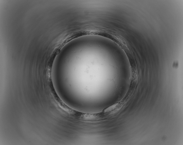 X0000090890766200707271332