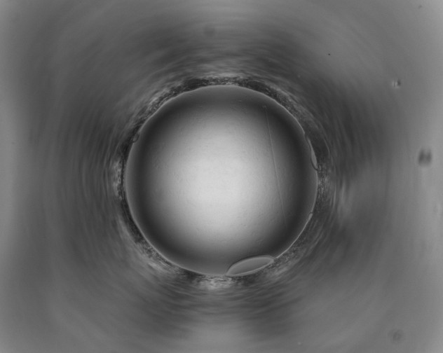 X0000090890767200707271332