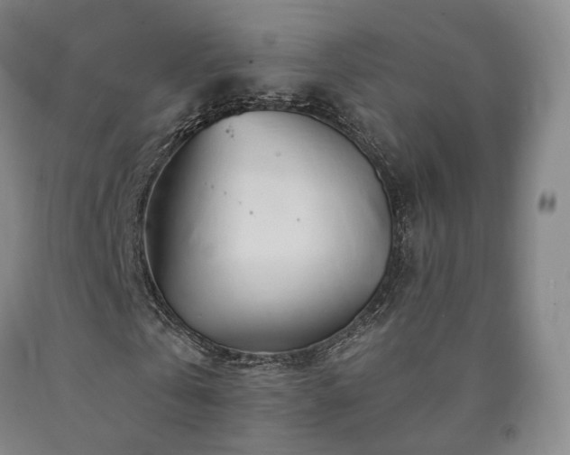 X0000090890769200707271331