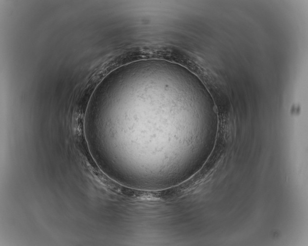 X0000090890770200707271331