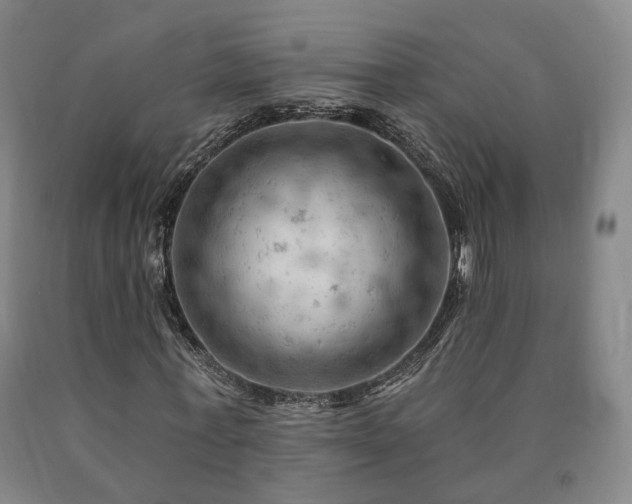 X0000090890771200707271331