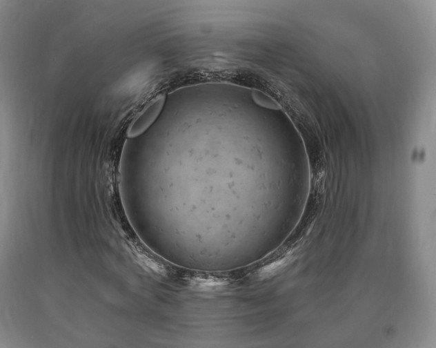 X0000090890772200707271331