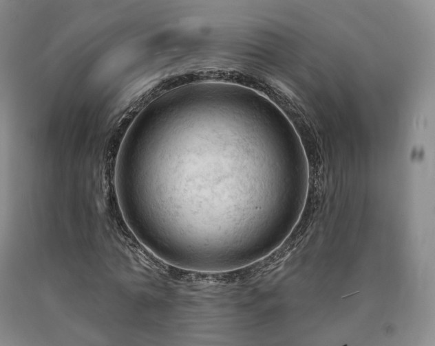 X0000090890774200707271331