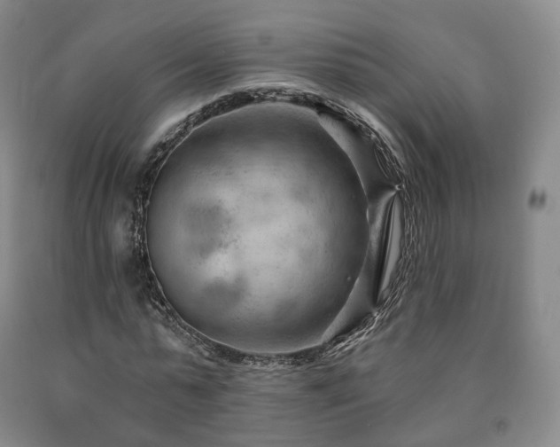 X0000090890775200707271331