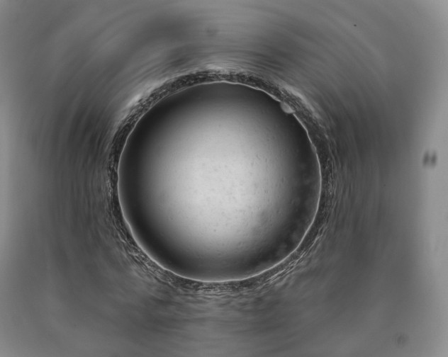 X0000090890776200707271331