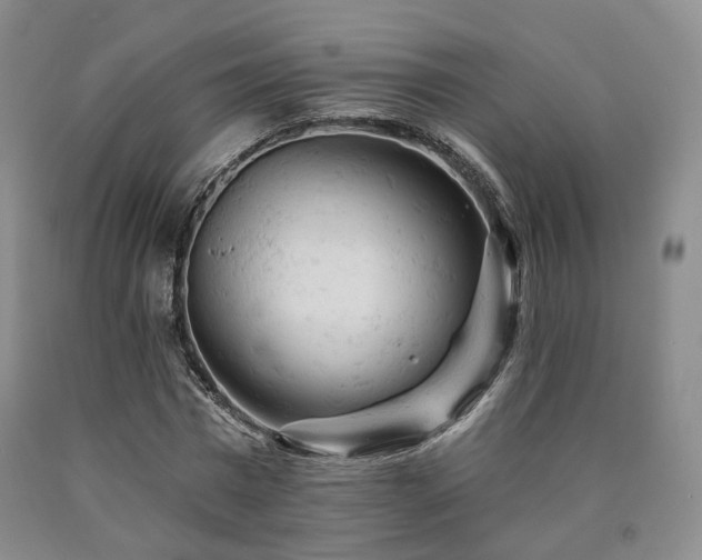 X0000090890777200707271331