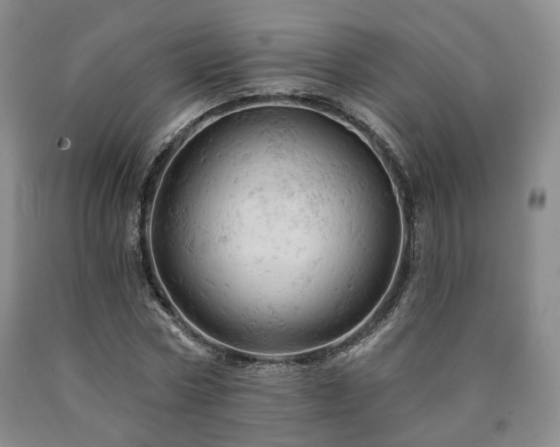 X0000090890778200707271331