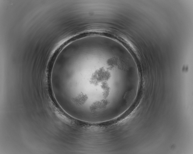 X0000090890779200707271331