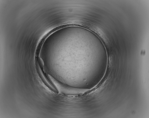 X0000090890780200707271331