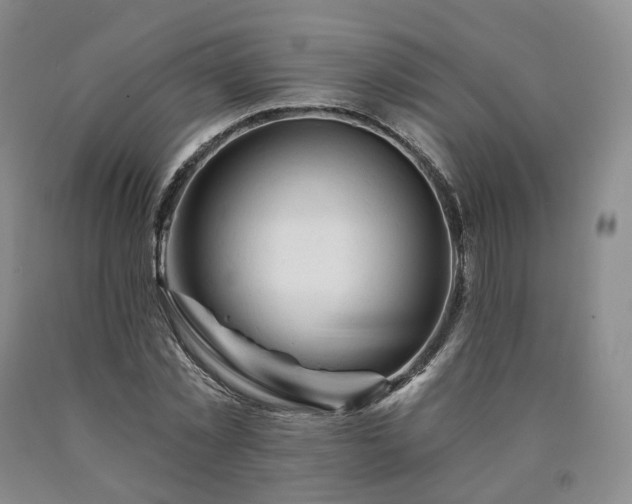 X0000090890781200707271331