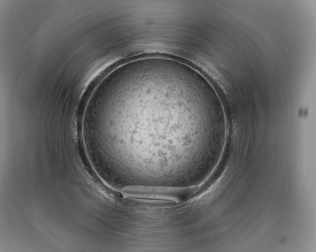 X0000090890782200707271331