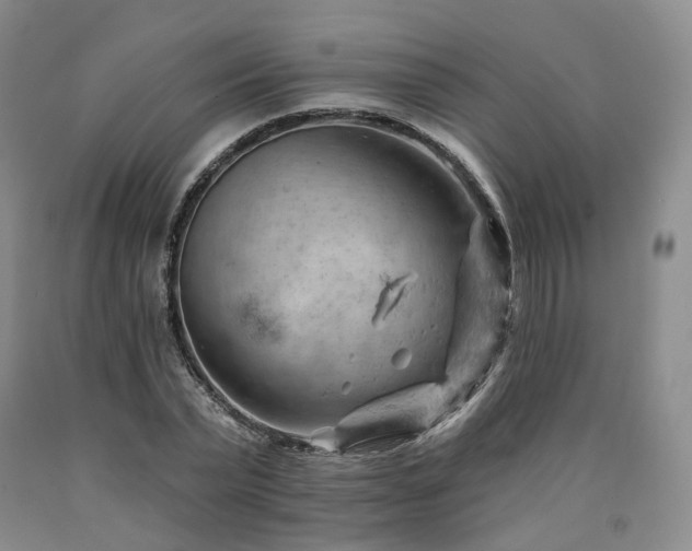 X0000090890783200707271331