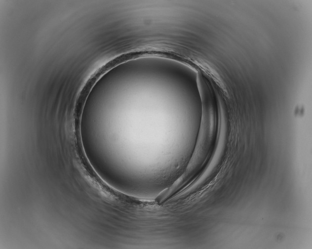 X0000090890784200707271331