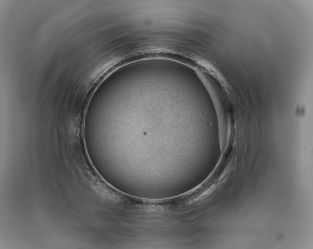 X0000090890785200707271331