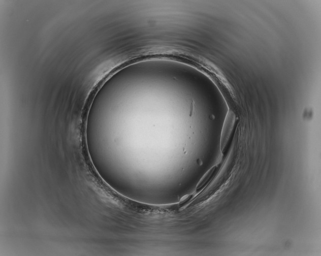 X0000090890786200707271331