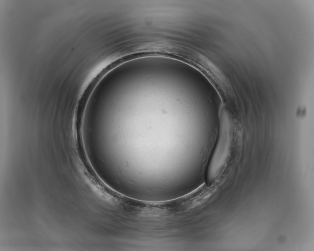 X0000090890788200707271331