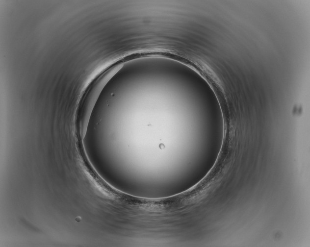 X0000090890789200707271331