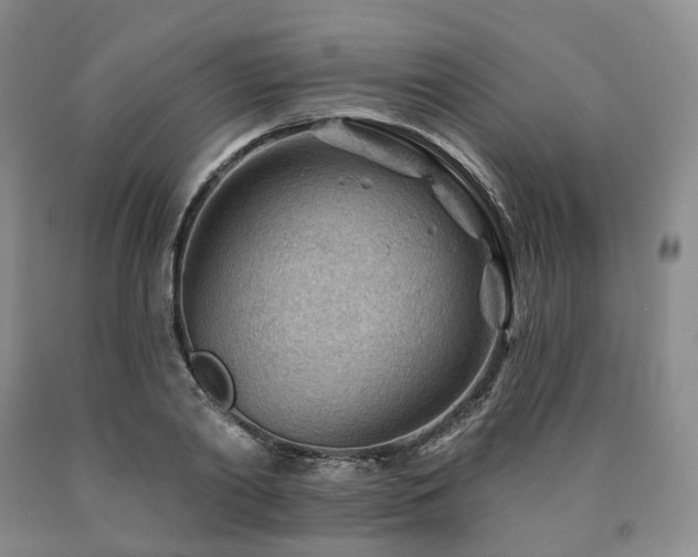 X0000090890790200707271331