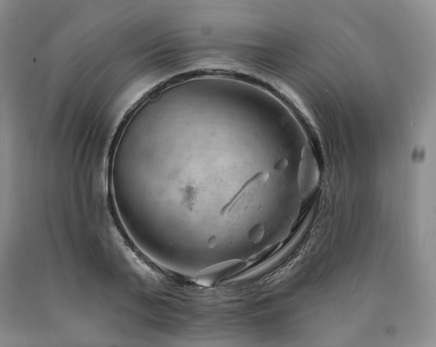 X0000090890791200707271331