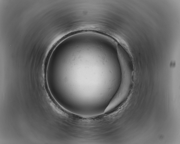 X0000090890792200707271331