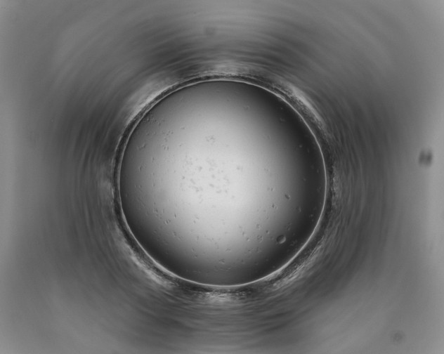 X0000090890794200707271331