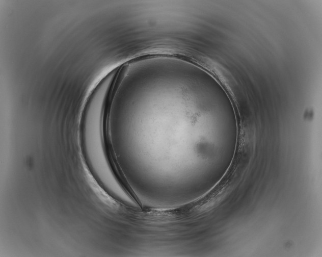 X0000090890795200707271331