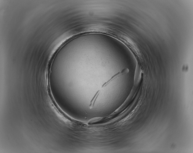 X0000090890796200707271331