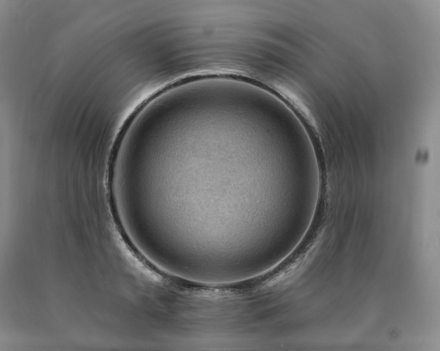 X0000090890797200707271331