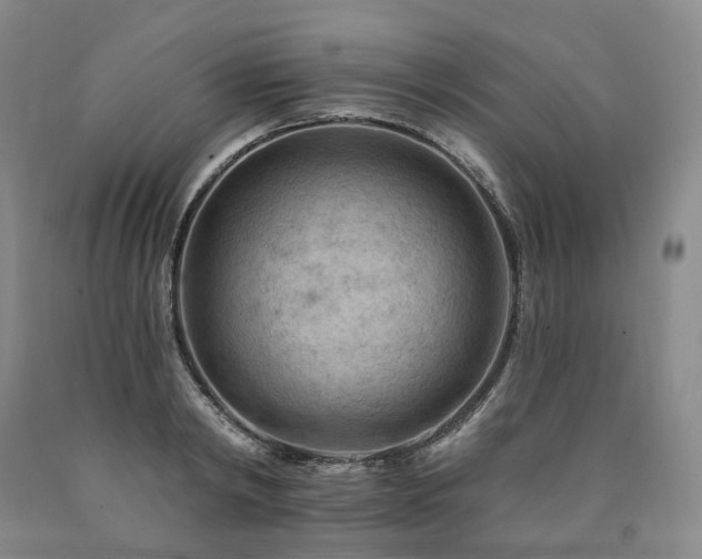 X0000090890798200707271331