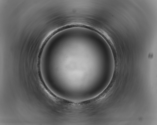 X0000090890799200707271331