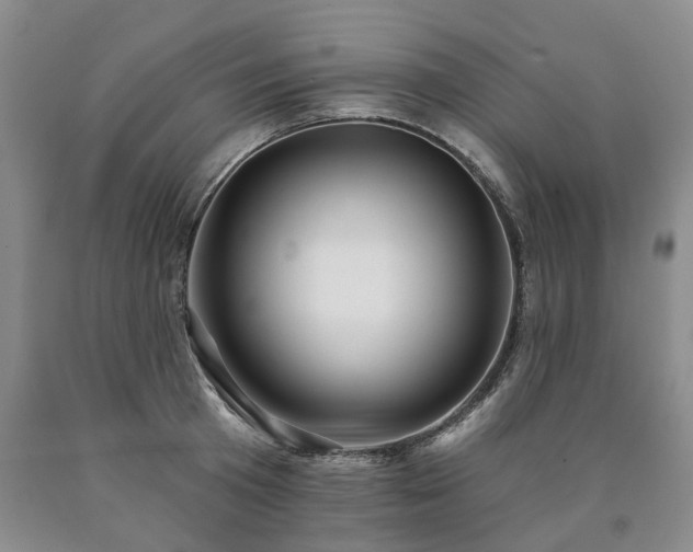 X0000090890801200707271331