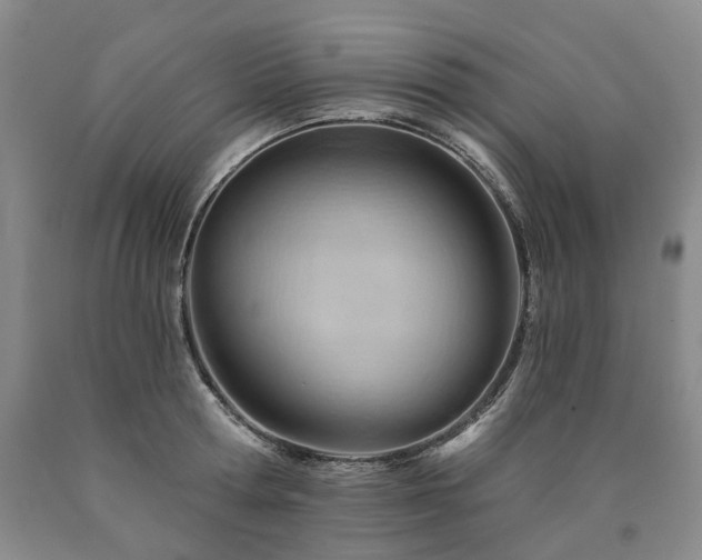 X0000090890802200707271331