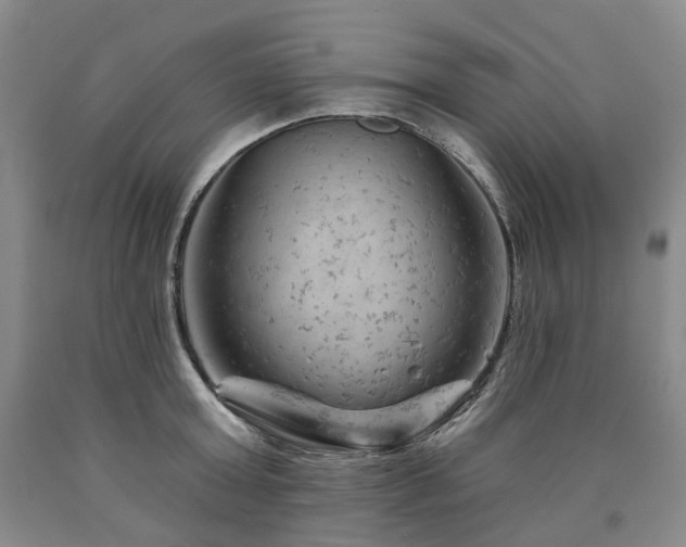 X0000090890803200707271331