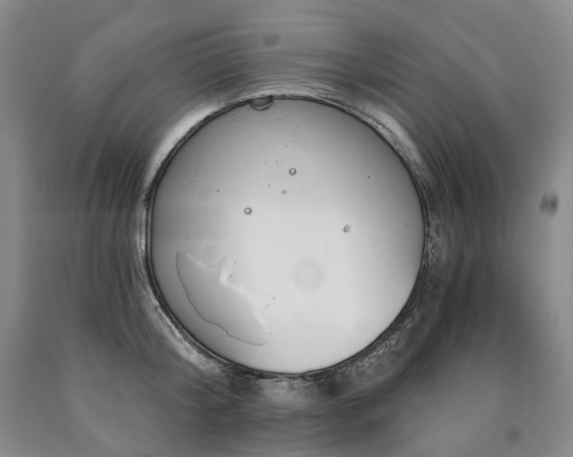 X0000090890804200707271331