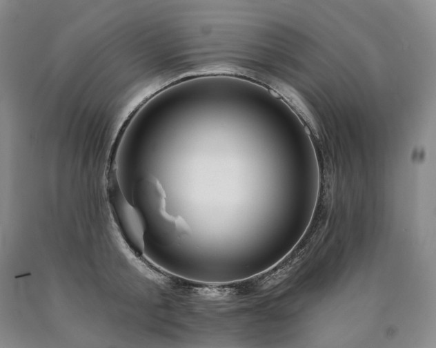 X0000090890805200707271331