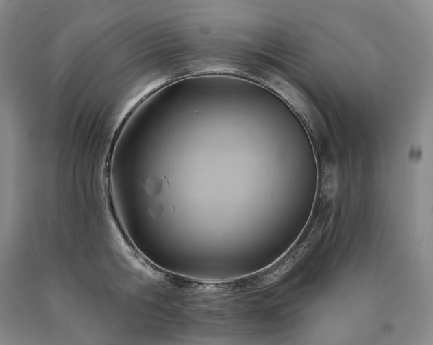 X0000090890806200707271331