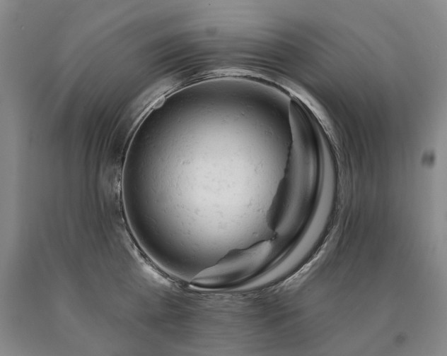 X0000090890809200707271331