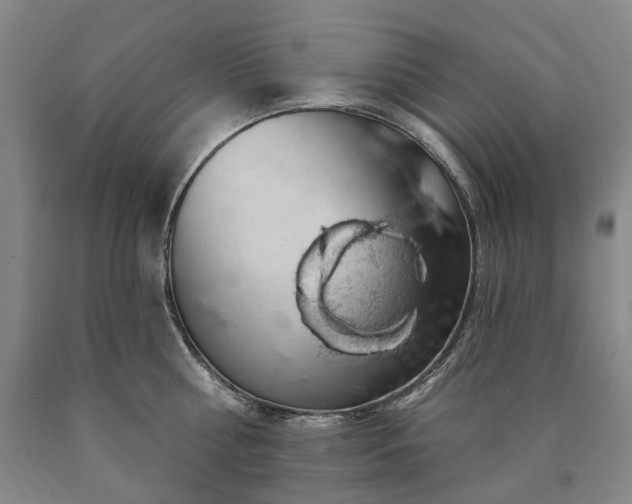 X0000090890810200707271331