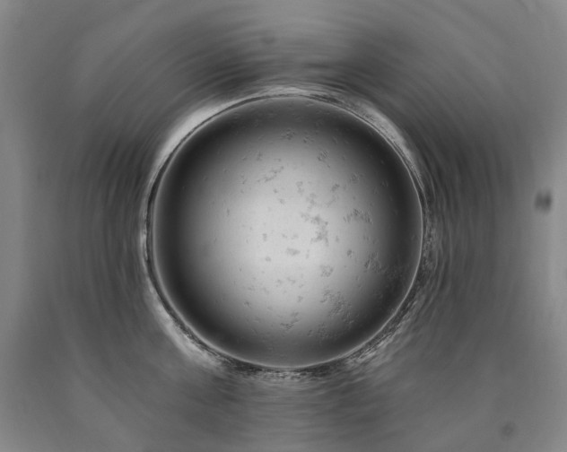 X0000090890811200707271331