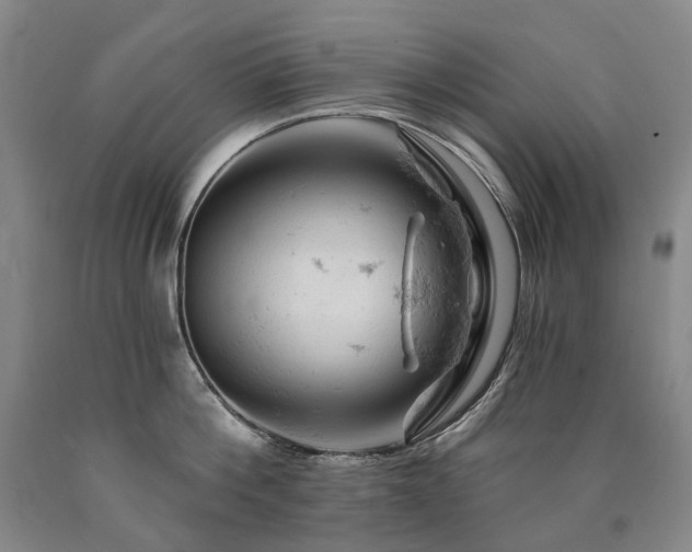 X0000090890812200707271331