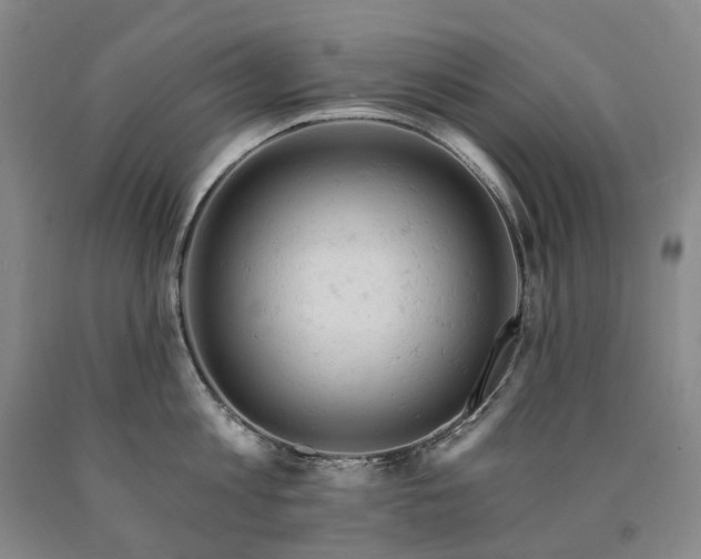 X0000090890813200707271331