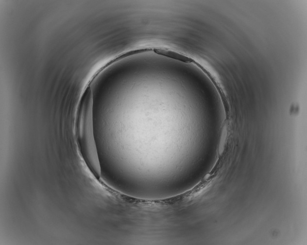 X0000090890815200707271330