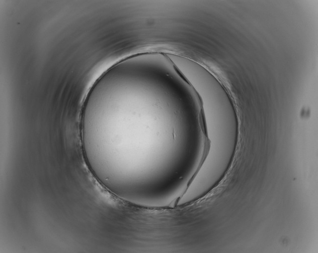 X0000090890816200707271330