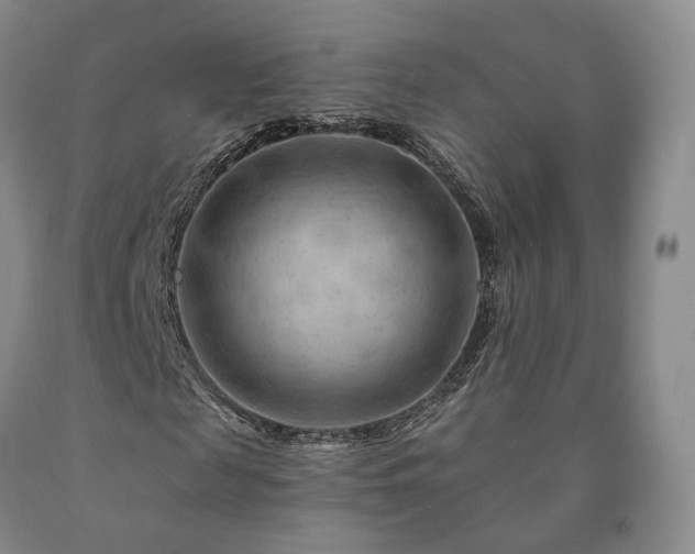 X0000090890817200707271330